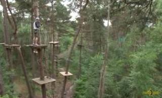 Au coeur de la forêt